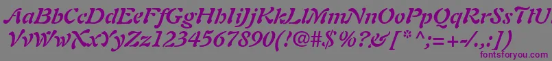 PaletteSsiBoldItalic Font – Purple Fonts on Gray Background