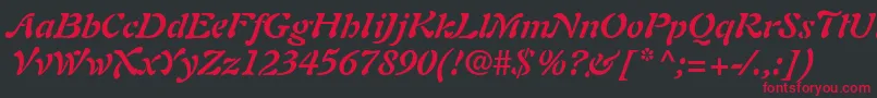 PaletteSsiBoldItalic Font – Red Fonts on Black Background