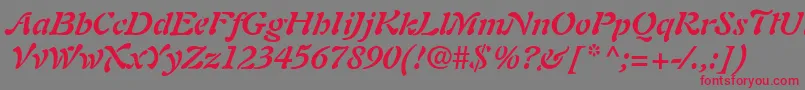 PaletteSsiBoldItalic Font – Red Fonts on Gray Background