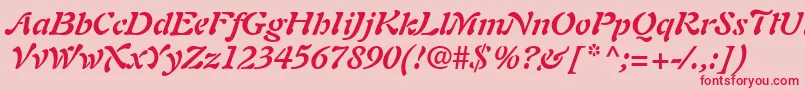 PaletteSsiBoldItalic Font – Red Fonts on Pink Background