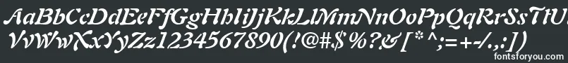 フォントPaletteSsiBoldItalic – 黒い背景に白い文字