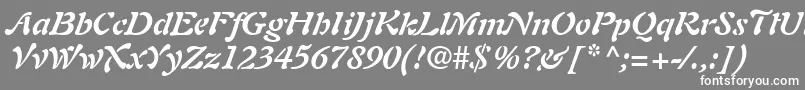 PaletteSsiBoldItalic Font – White Fonts on Gray Background