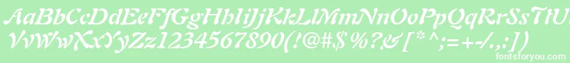 PaletteSsiBoldItalic Font – White Fonts on Green Background
