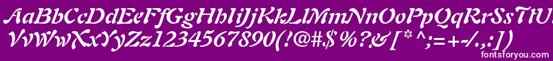 PaletteSsiBoldItalic Font – White Fonts on Purple Background