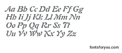 Review of the PaletteSsiBoldItalic Font