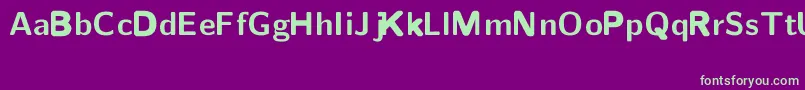 CmSansserifBoldext Font – Green Fonts on Purple Background