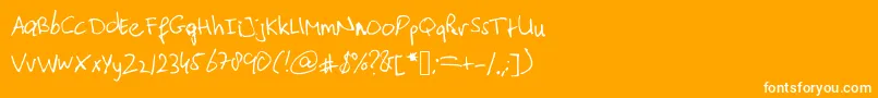 Typischvoornu2014 Font – White Fonts on Orange Background
