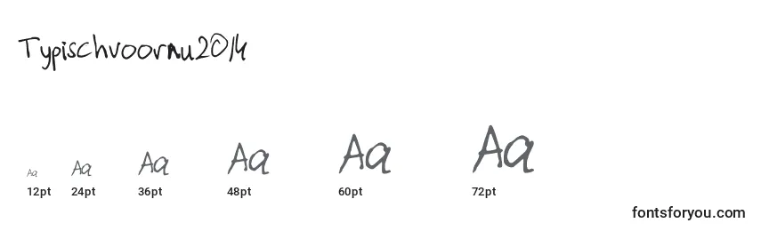 Typischvoornu2014 Font Sizes