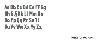 Review of the Fpn11 Font