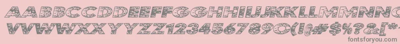 KustomKar Font – Gray Fonts on Pink Background