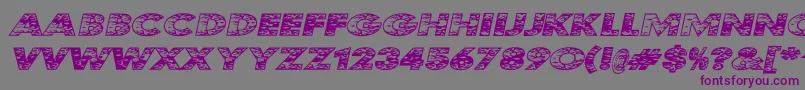 KustomKar Font – Purple Fonts on Gray Background