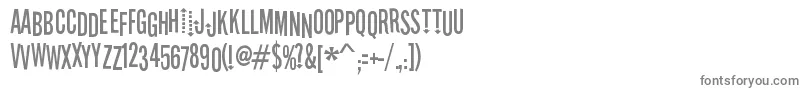 StereofidelicRegular Font – Gray Fonts on White Background