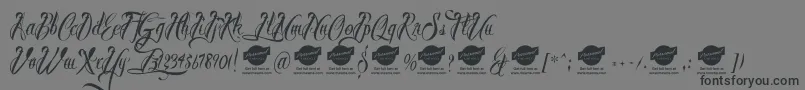 BrothertattooDemo Font – Black Fonts on Gray Background