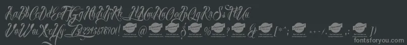 BrothertattooDemo Font – Gray Fonts on Black Background