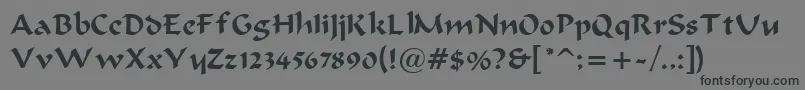 BravurRegular Font – Black Fonts on Gray Background