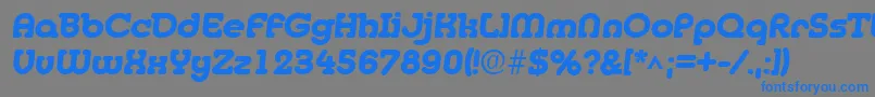 フォントMedflyHeavy – 灰色の背景に青い文字