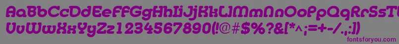 MedflyHeavy Font – Purple Fonts on Gray Background