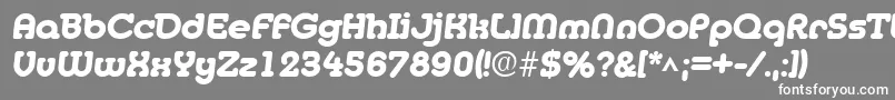 フォントMedflyHeavy – 灰色の背景に白い文字