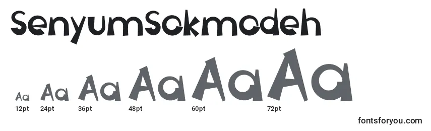 Размеры шрифта SenyumSokmodeh