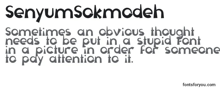 Review of the SenyumSokmodeh Font