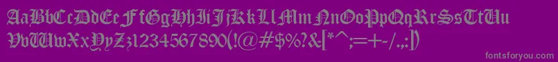 LisanneLight Font – Gray Fonts on Purple Background