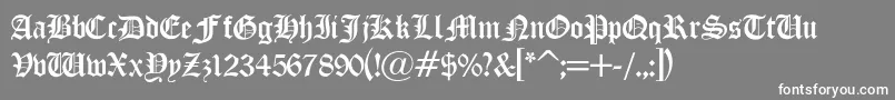 LisanneLight Font – White Fonts on Gray Background