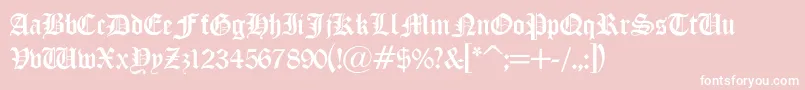 LisanneLight Font – White Fonts on Pink Background