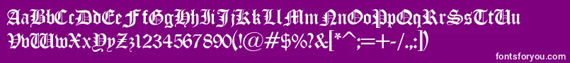 LisanneLight Font – White Fonts on Purple Background