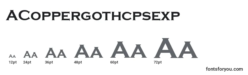 ACoppergothcpsexp Font Sizes