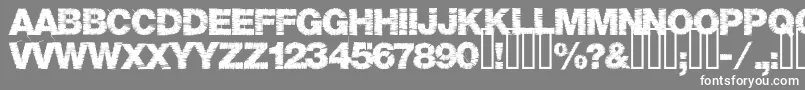 Base05 Font – White Fonts on Gray Background