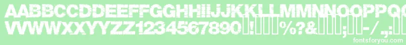 Шрифт Base05 – белые шрифты на зелёном фоне
