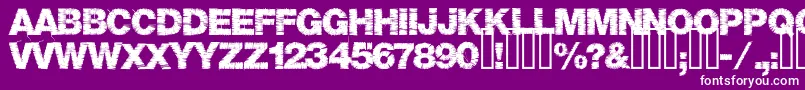 Base05 Font – White Fonts on Purple Background