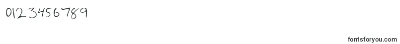 PhamRegular Font – Fonts for Numbers and Digits