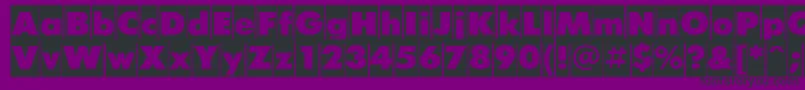 FuturiscameoCyrillic Font – Black Fonts on Purple Background