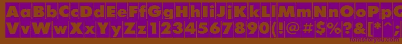 FuturiscameoCyrillic Font – Purple Fonts on Brown Background