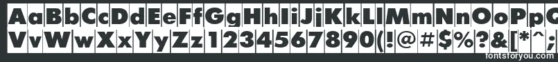 FuturiscameoCyrillic Font – White Fonts on Black Background