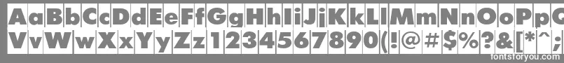 FuturiscameoCyrillic Font – White Fonts on Gray Background