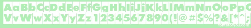 FuturiscameoCyrillic Font – White Fonts on Green Background