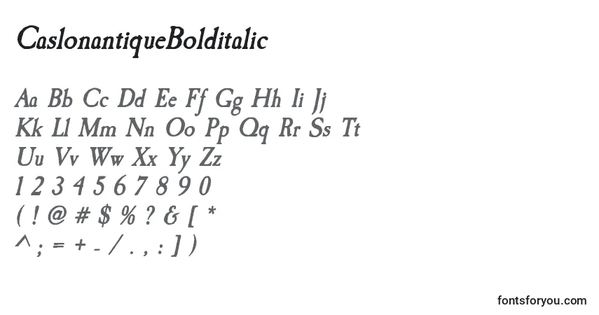 Czcionka CaslonantiqueBolditalic – alfabet, cyfry, specjalne znaki