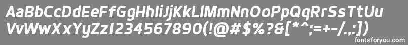 フォントDynoBoldItalic – 灰色の背景に白い文字