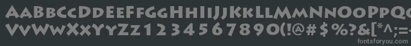 フォントLithosproBlack – 黒い背景に灰色の文字