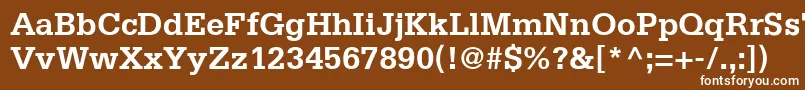 フォントMetronSsiBold – 茶色の背景に白い文字