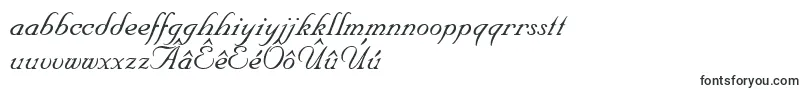 NupalscriptdbItalic Font – Frisian Fonts
