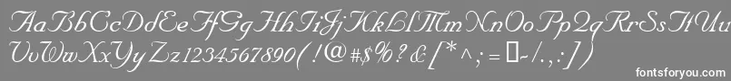 NupalscriptdbItalic Font – White Fonts on Gray Background