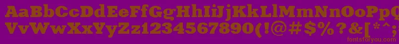 XeniaextendedRegular Font – Brown Fonts on Purple Background