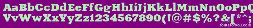 XeniaextendedRegular Font – Green Fonts on Purple Background