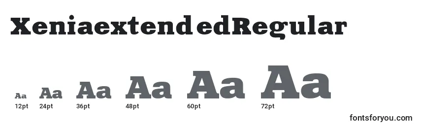 Размеры шрифта XeniaextendedRegular