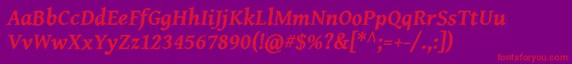 GentiumBookBasicBoldItalic Font – Red Fonts on Purple Background