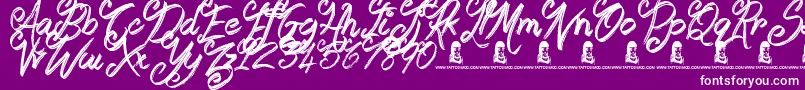 Booday Font – White Fonts on Purple Background