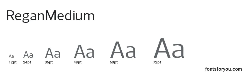 ReganMedium Font Sizes